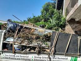 Best Moving and Downsizing Cleanouts  in Camn, DE