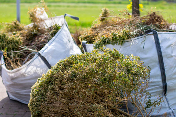Professional Junk Removal Services in Camden, DE